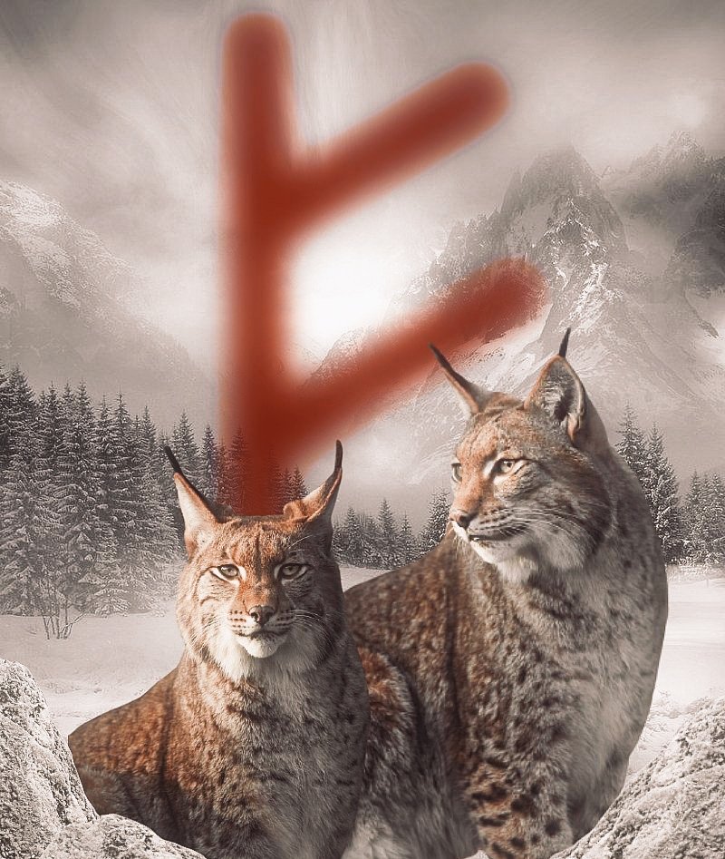Blessed Friday and Freya's day my brothers and sisters ✌️ Skàl
#ProudHeathen