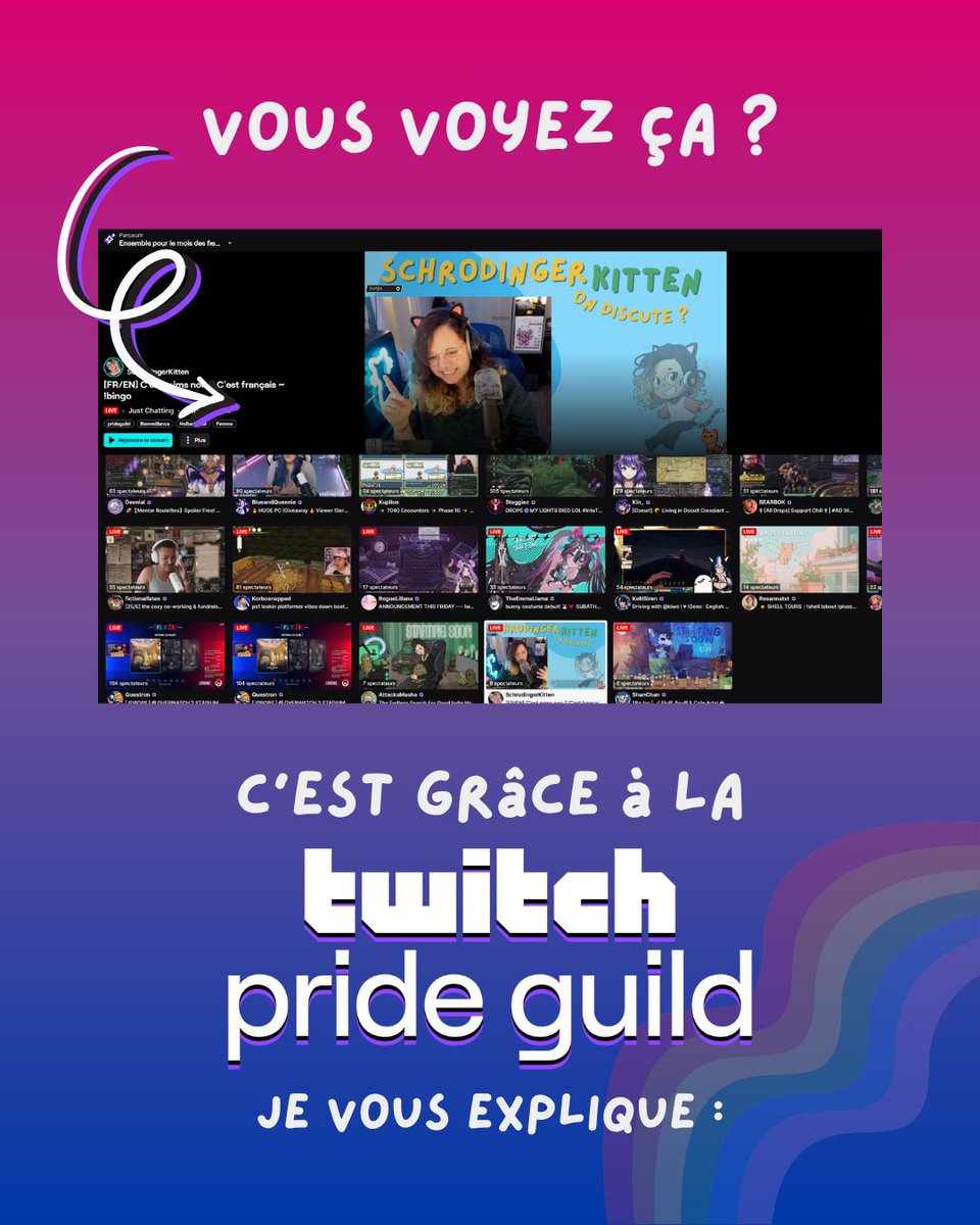 🌈 SchrodingerKitten ~ Ur fav indie streamer tweet media