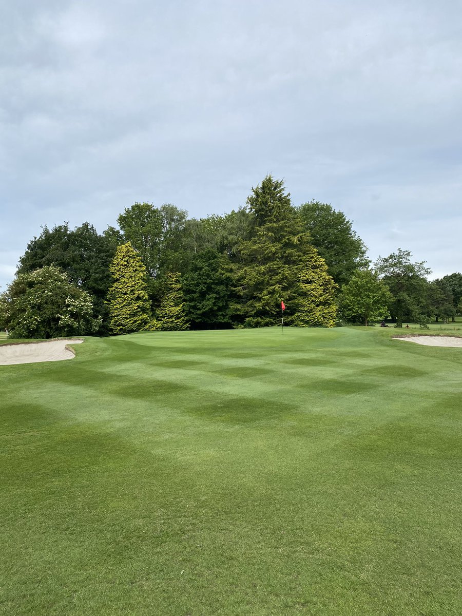 Great effort by the team this week. Definition and colour much better after 23mm on Tue/Wed. 🌱⛳️