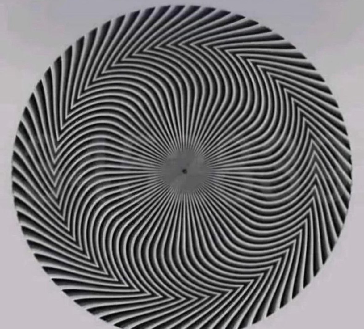 What number do you see ??
