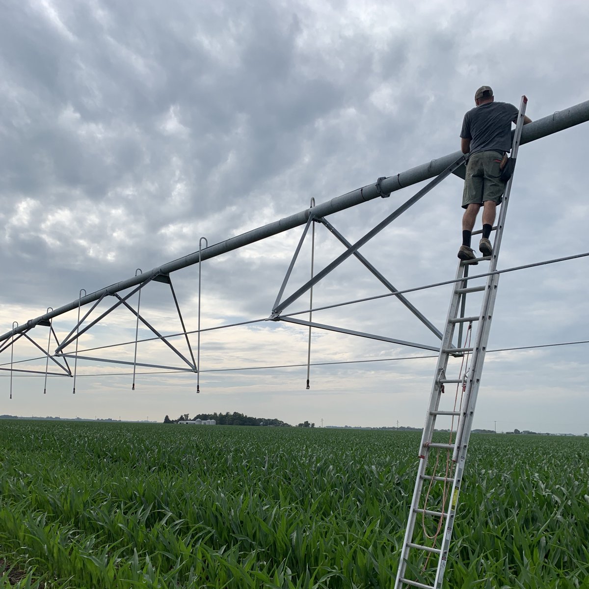 Regenerative agriculture. It’s a new term for something farmers like Morgan have been doing all along. She learned it from her grandpa. Raising healthy crops regeneratively is about knowing what the soil and the crop need at the right time and place.  findourcommonground.com/stop-that-soil/