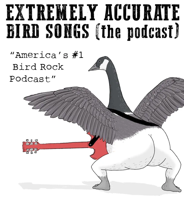 which coincidentally is the subject of a recent podcast episode where we scheme up a song for this gorgeous new world quail. come join us for the world's dumbest nature podcast where we attempt to write a song for every bird species, xoxo

https://t.co/ZUQcJotW1a 