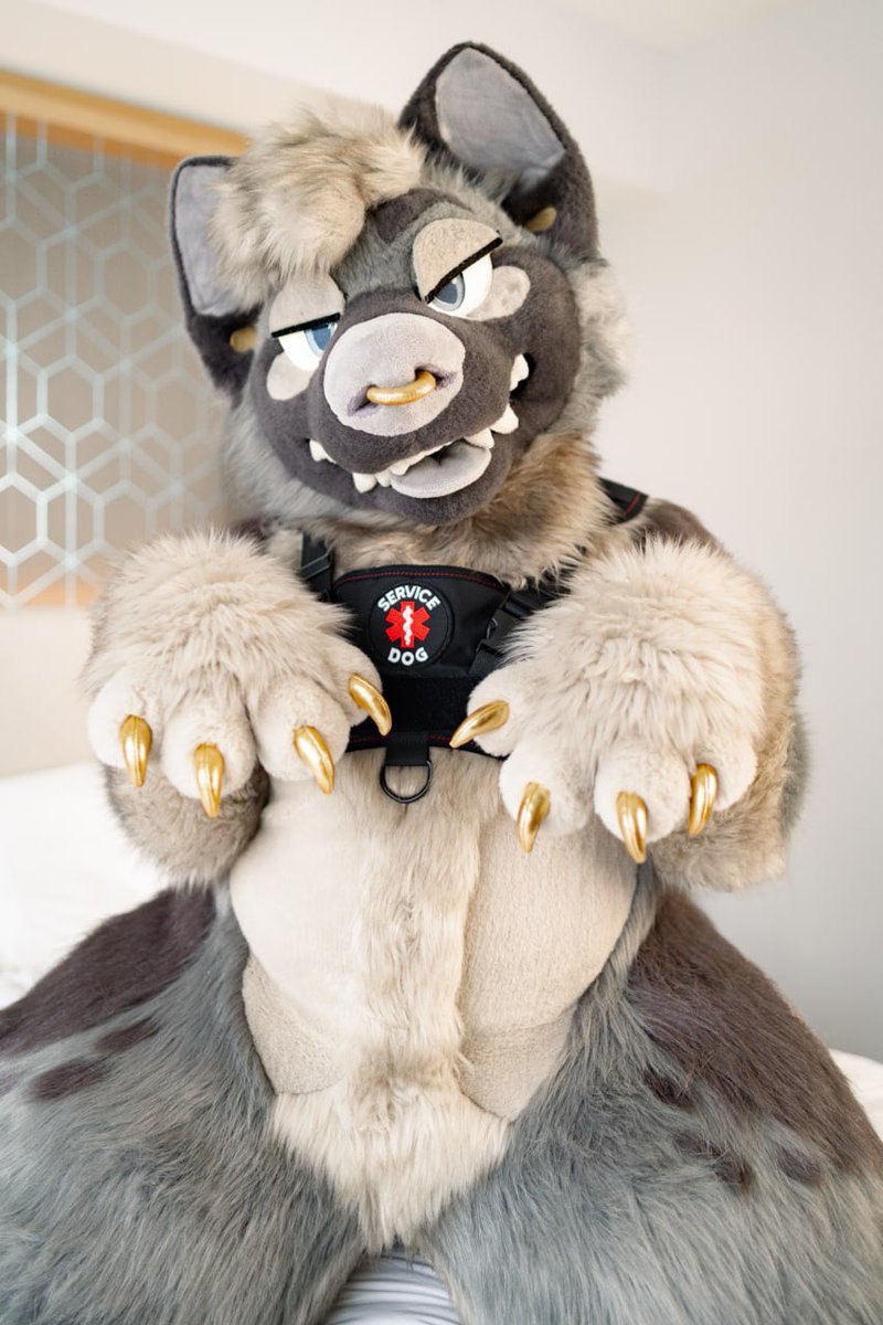 TABBY π FWA (@cuppatabby) on Twitter photo eager to serve in any way you need. happy #fursuitfriday, have a good weekend β€οΈ
π·: <a href="/sabletide/">stark π</a>
πβπ¦Ί: <a href="/SpicyServiceDog/">Spicy Service Dog πβπ¦Ί</a> eager to serve in any way you need. happy #fursuitfriday, have a good weekend β€οΈ
π·: <a href="/sabletide/">stark π</a>
πβπ¦Ί: <a href="/SpicyServiceDog/">Spicy Service Dog πβπ¦Ί</a>