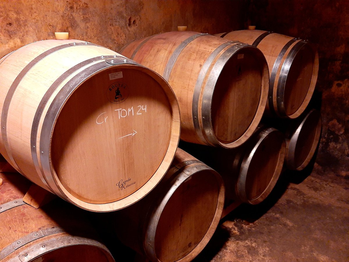 Michael Collins (@7mikecollins6) on Twitter photo The finca where the grapes grow for Diga, the Irish made DO Montsant. Vines looking good. The barrels of '24. (tasted the '23 which will be bottled shortly, it's looking good folks) <a href="/priorathotel/">Priorat Aparthotel, Falset, Tarragona,Spain</a> <a href="/Blinderswine/">MonthlyBlinders Wine</a> <a href="/philipnolan1/">Philip Nolan</a> The finca where the grapes grow for Diga, the Irish made DO Montsant. Vines looking good. The barrels of '24. (tasted the '23 which will be bottled shortly, it's looking good folks) <a href="/priorathotel/">Priorat Aparthotel, Falset, Tarragona,Spain</a> <a href="/Blinderswine/">MonthlyBlinders Wine</a> <a href="/philipnolan1/">Philip Nolan</a>