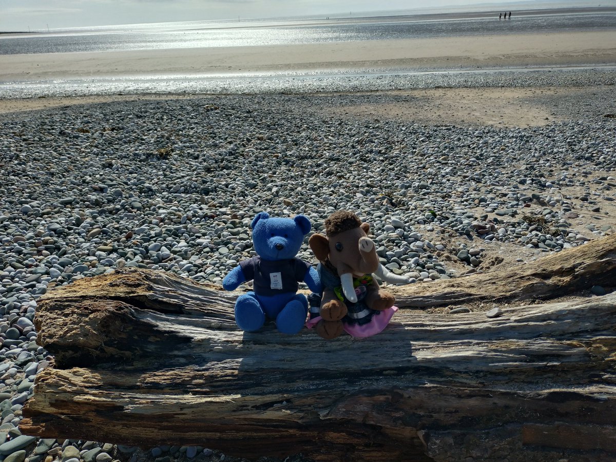 🎶 'Oh, I do like to be by the seaside' 🎶🌊#smallbearadventures