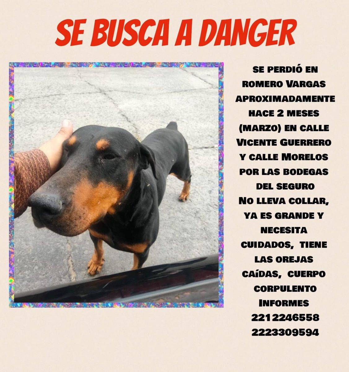 #Puebla RT infinito para mayor difusión y poder localizar a estos peluditos 🙏🏻😔
(Hilo de imágenes) .
<a href="/Hechizero_38/">★·.·´HeChIzErO`·.·★</a> <a href="/sandra_ov/">ᔕᗩᑎᗪᖇᗩ</a> <a href="/alvarez_armando/">Armando Alvarez</a> <a href="/MonseNavedo/">Monse Navedo</a> <a href="/dulcgomez/">Dulce Gómez</a> <a href="/itzivalencia/">Itzel Valencia</a> <a href="/AmbientePuebla/">Secretaría de Medio Ambiente</a> <a href="/ABOGADOSPUEANIM/">ABOGADOS ANIMALISTAS DE PUEBLA</a> <a href="/cuentaconmigo01/">Cuenta Conmigo</a> <a href="/DanielaFC12/">Daniela Corona</a>