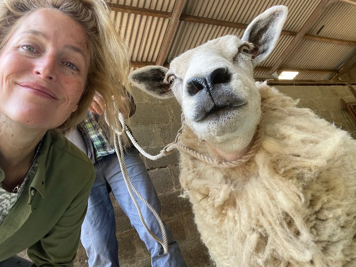 GillianA's tweet image. The Salt Path opens in the UK today! Very proud of this film.
Thanks especially to our hard working crew & the fantastic women who led us - Marianne Elliott, Helene Louvart, Liz Karlsen, Rebecca Lenkiewicz & more. @jasonsfolly, thanks for getting through the wind and the rain…