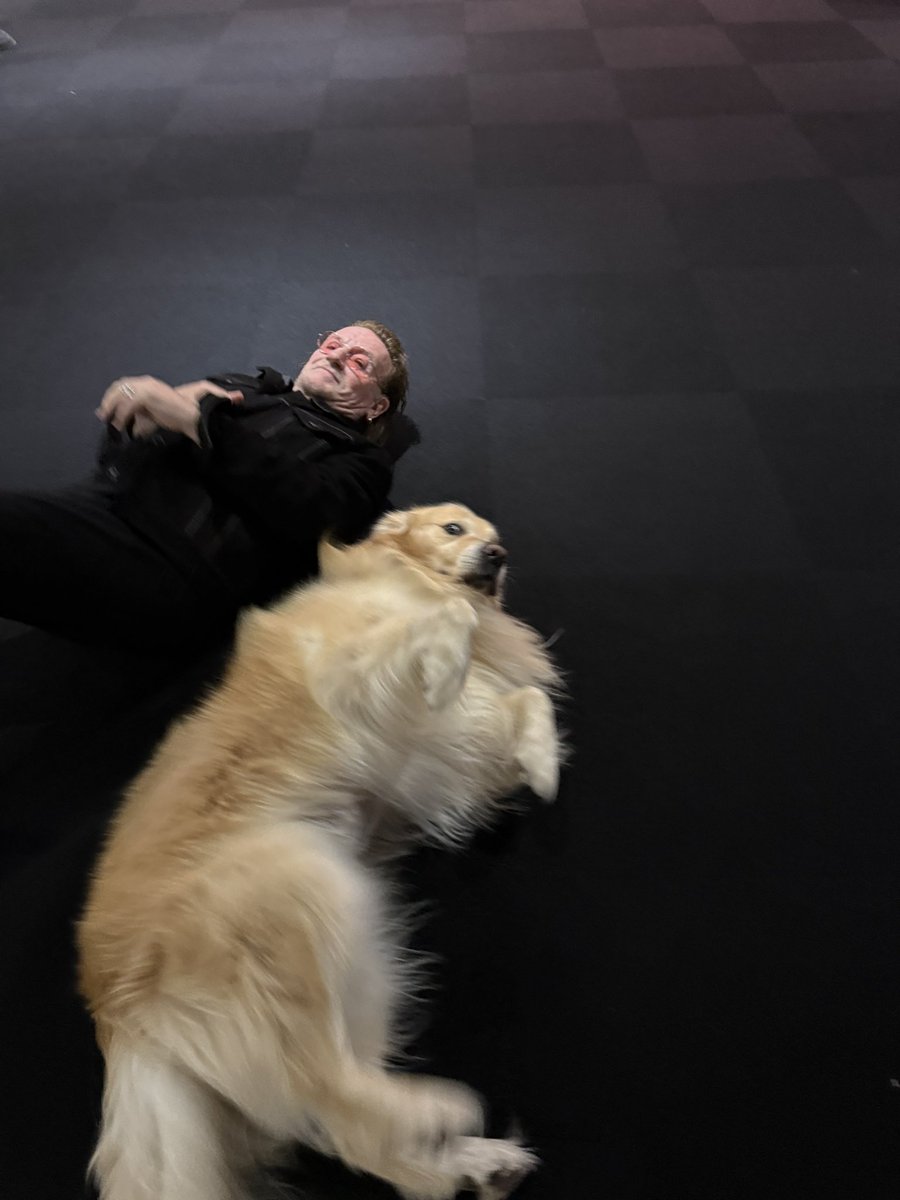 joerogan's tweet image. I had a great time talking to Bono, and Marshall got a cuddle session with his favorite rock star.  
Episode available now on @spotify and everywhere else. 

open.spotify.com/episode/2Q7Mqg…