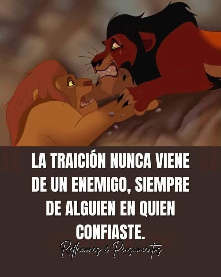 SANDRA (@kassandra_mder) on Twitter photo 