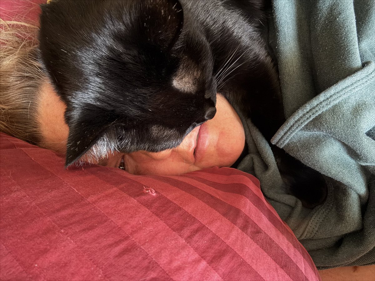 Is that what y’all mean when saying “I want a pussy on my face”?