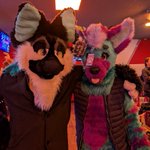 Photo by Kélyfos (@husk_wolf)