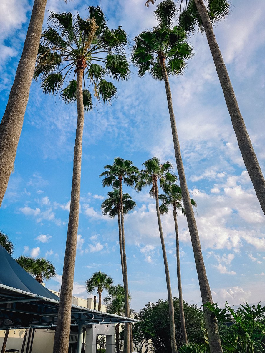 ShawU_DTL's tweet image. We had a blast at the #TeachwithAI Conference. Awesome sessions, networking and knowledge to take back home to @ShawUniversity 
Thanks for having us!
#ShawUDTL #digitalteaching #digitallearning #AI #conference #shawuniversity #EdTech #BlackinEdTech