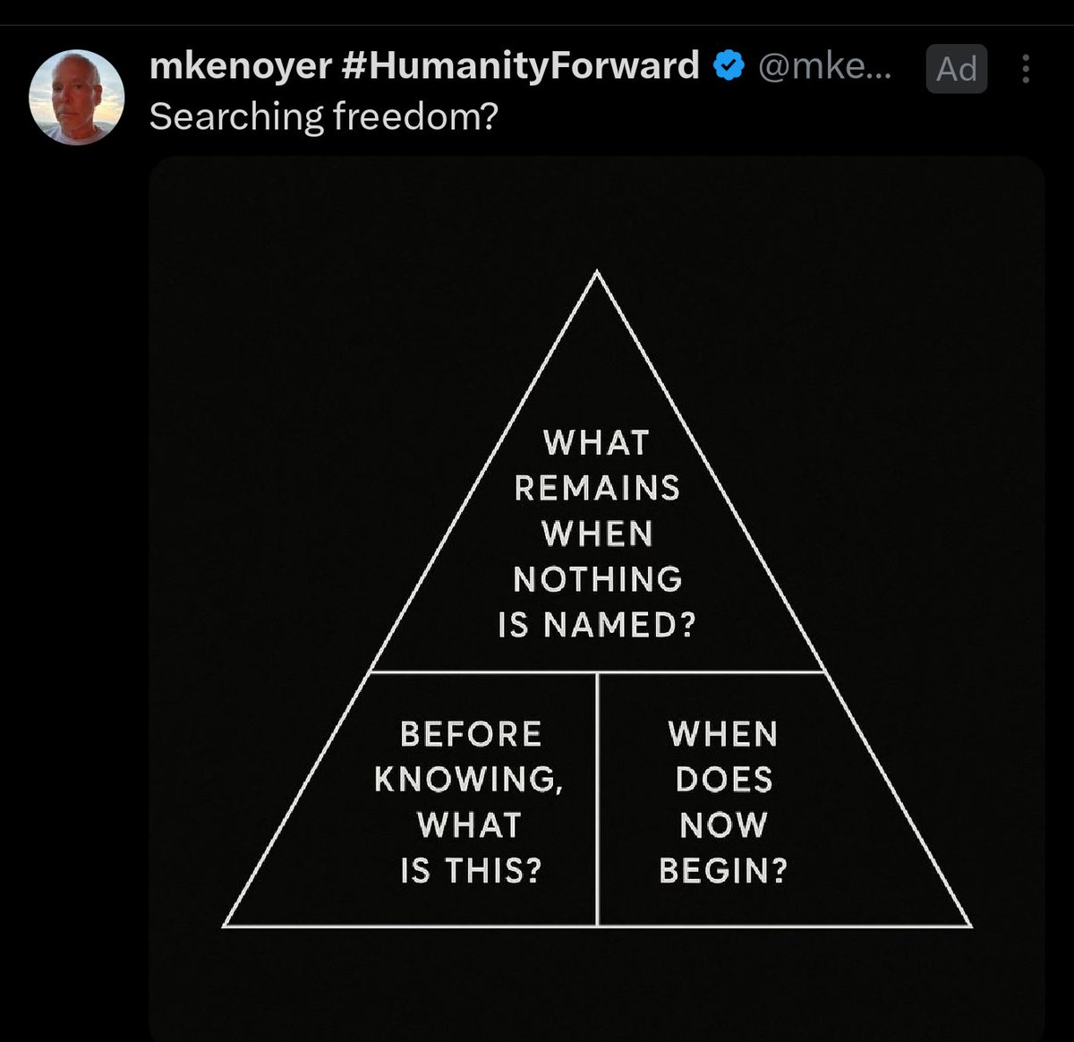 nicholastristan's tweet image. with some better thematic ordering and a few tweaks to the language, this ad would be a decent poem. happy for #HumanityForward and look forward to seeing his next submission