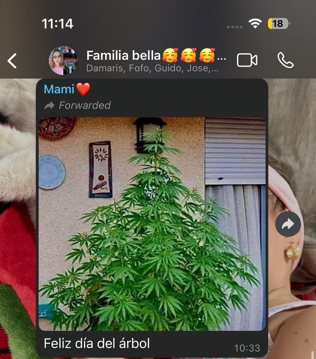 debs (@debycarias) / Posts / X