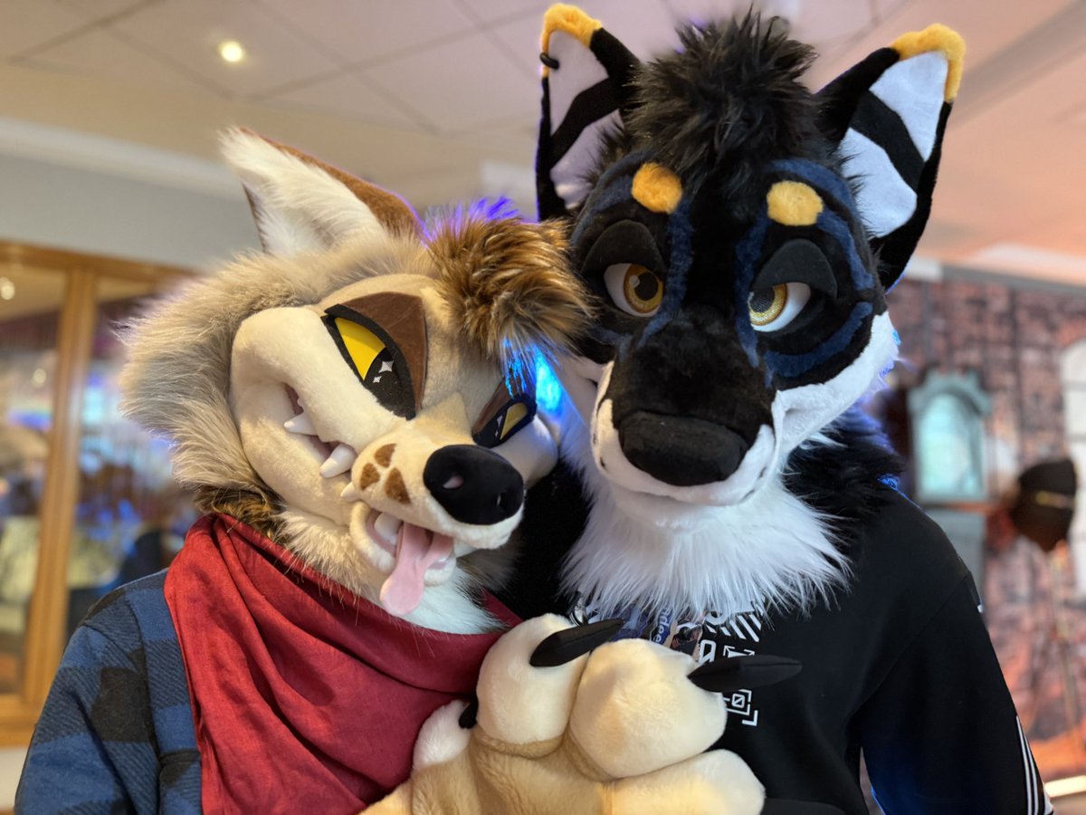 PCD hitting like a freight train..

But huge thank you to everyone who made my first CFz and debut an absolute amazing experience, and the new friends I made along the way! 💙

Here’s to the next one! ✨