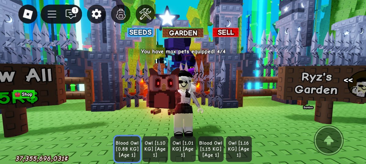 dchaerie's tweet image. Selling grow a garden (GaG) pets for Paypal/Gcash or robux
Available:
🤍Normal Owl 
❤️Blood Owl
💜Night Owl
💛Dragon Fly (df) - for gcash only
dp! ❤️-nty
#roblox #growagarden #sellingroblox #growagardenseller #candyblossom 
#dragonfly 
 wts fs ft wtt lf lfs lfb