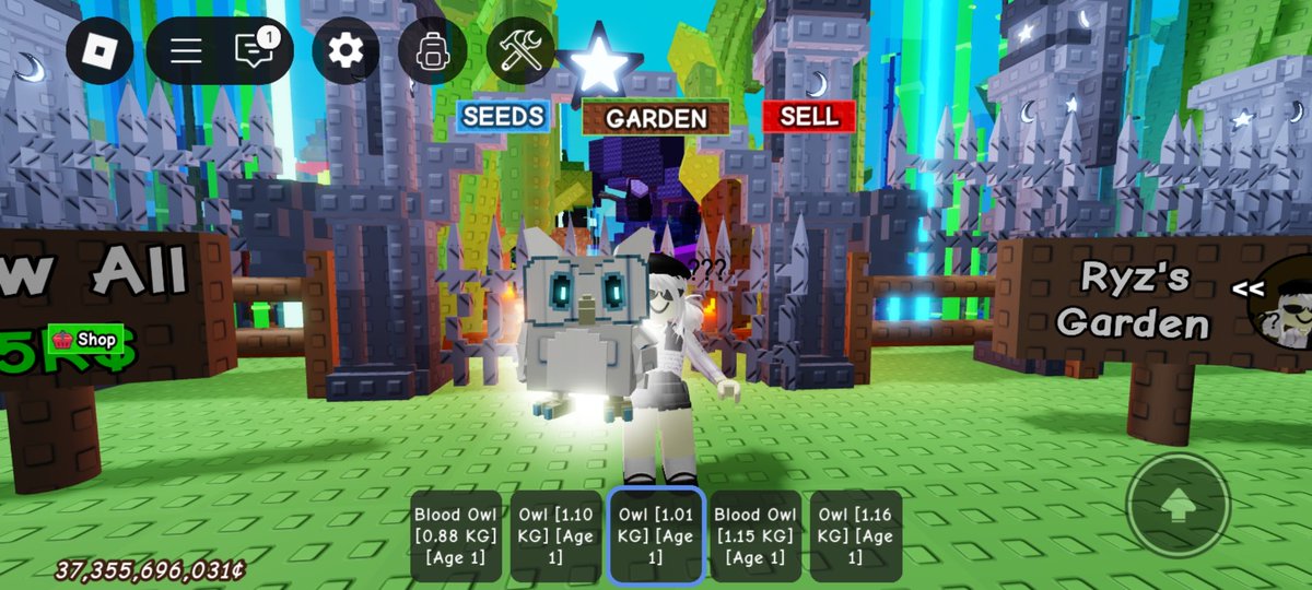 dchaerie's tweet image. Selling grow a garden (GaG) pets for Paypal/Gcash or robux
Available:
🤍Normal Owl 
❤️Blood Owl
💜Night Owl
💛Dragon Fly (df) - for gcash only
dp! ❤️-nty
#roblox #growagarden #sellingroblox #growagardenseller #candyblossom 
#dragonfly 
 wts fs ft wtt lf lfs lfb