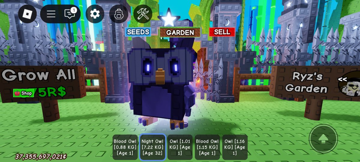 dchaerie's tweet image. Selling grow a garden (GaG) pets for Paypal/Gcash or robux
Available:
🤍Normal Owl 
❤️Blood Owl
💜Night Owl
💛Dragon Fly (df) - for gcash only
dp! ❤️-nty
#roblox #growagarden #sellingroblox #growagardenseller #candyblossom 
#dragonfly 
 wts fs ft wtt lf lfs lfb