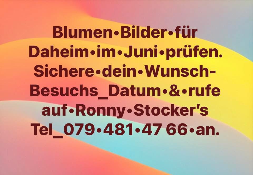 Sky* Ronald Stocker – Born in Ocean Falls B.C. (@rstocker_sky) on Twitter photo 