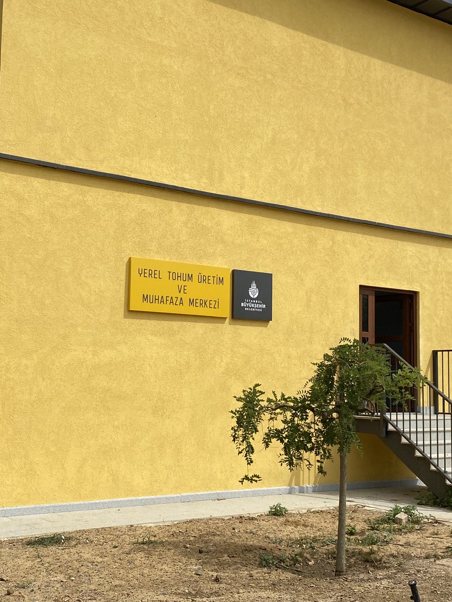 Güzel İstanbul tweet media