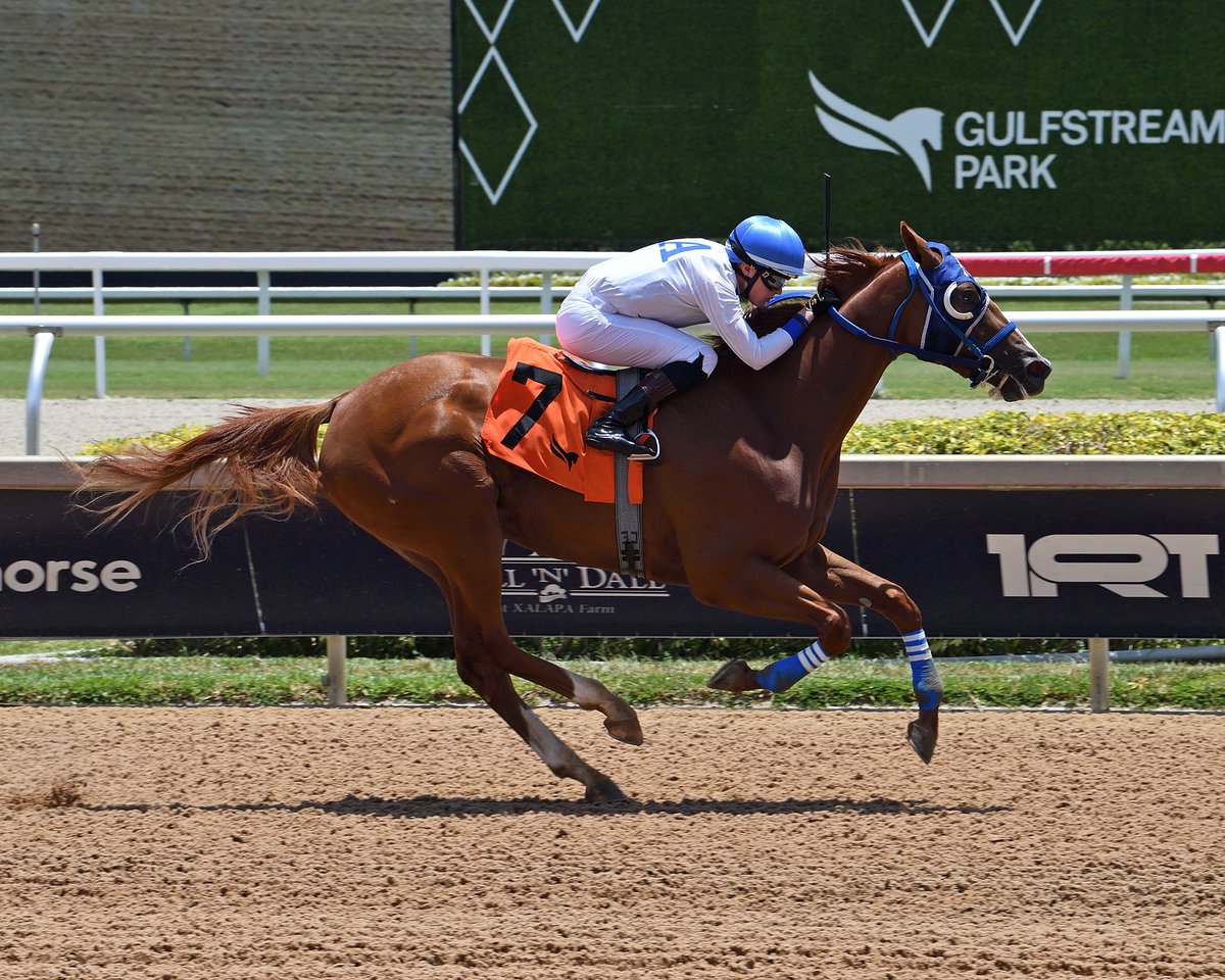 Gulfstream Park (@gulfstreampark) on Twitter photo Princess Claudia, with Christopher Elliott, scores in the opener for trainer <a href="/sanoracing/">Antonio Sano</a>. #GulfstreamPark #RoyalPalmMeet Princess Claudia, with Christopher Elliott, scores in the opener for trainer <a href="/sanoracing/">Antonio Sano</a>. #GulfstreamPark #RoyalPalmMeet