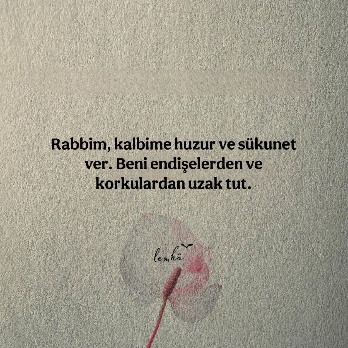 Bi’öğretmen ོ (@bi_ogretmn) on Twitter photo 