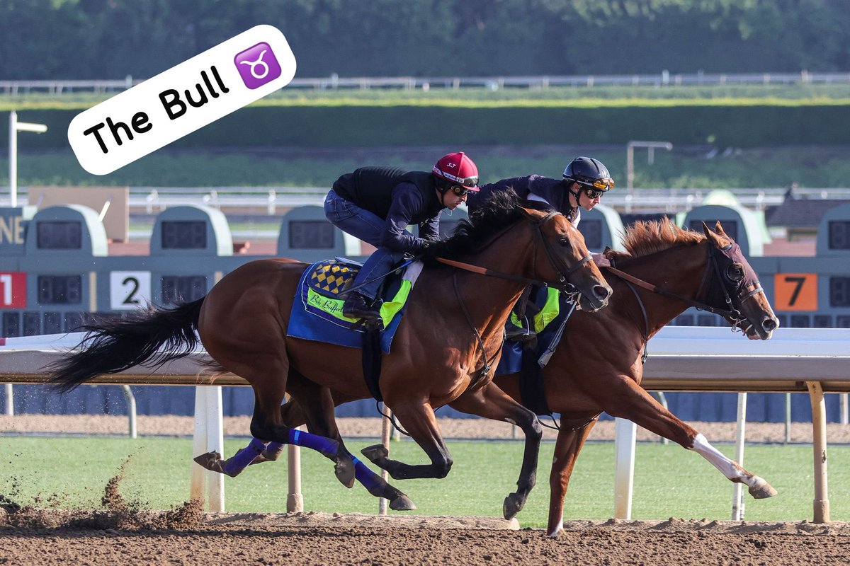 Citizen Bull ♉ was in complete control again this morning. Smooth all the way, wanting more. He’s on target for The G1 7f Woody Stephens with two leading <a href="/nmrhof/">National Museum of Racing and Hall of Fame</a> inductees calling the shots: <a href="/mikeesmith10/">mike e smith</a>  and <a href="/BobBaffert/">Bob Baffert</a> - Madaket Road 🏝️has also come out of the Pat Day Mile in