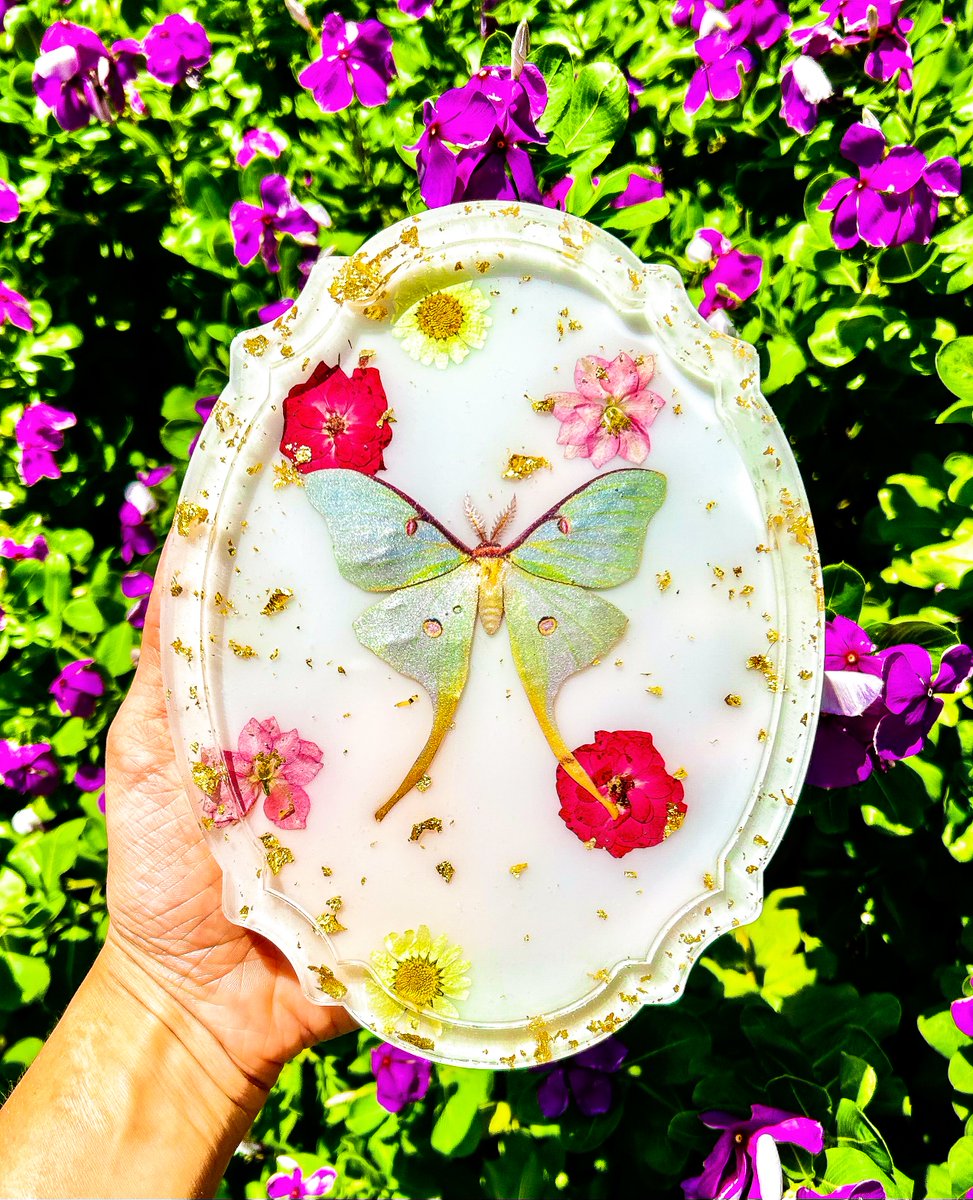 🌹Renaissance Moth Tray
Heatherskiesss.com