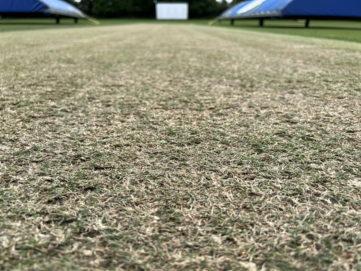 New deck ready for tomorrow’s <a href="/ThurlowNunnEAPL/">Thurlow Nunn East Anglian Premier League</a> <a href="/CopdockOlCC/">Copdock & Old Ipswichian Cricket Club</a> v <a href="/FrintonCC/">Frinton on Sea Cricket Club🏏</a> … looks a belter, and outfield double-cut for good measure! 69ao probably… 😳 <a href="/ParkersPitches/">Parkers Pitches Ltd</a> <a href="/DennisMowers/">Dennis Mowers</a> <a href="/ICL_Turf/">ICL Growing Solutions - Turf & Landscape 🇬🇧🇮🇪</a> <a href="/BarenbrugUK/">Barenbrug UK</a>