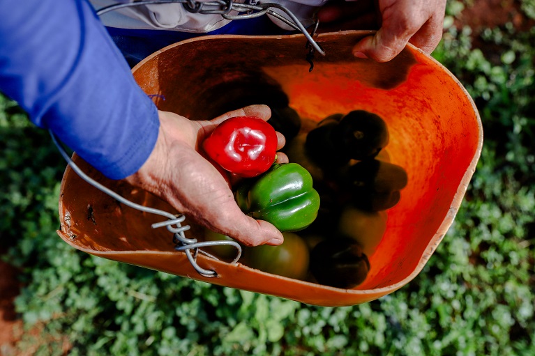 FAO Cuba (@faocuba) on Twitter photo 🔵 <a href="/MinagCuba/">Ministerio de la Agricultura de Cuba</a> y #FAO impulsan recuperación agroforestal en Guantánamo
Conoce más⬇️
🔗fao.org/cuba/noticias/… 🔵 <a href="/MinagCuba/">Ministerio de la Agricultura de Cuba</a> y #FAO impulsan recuperación agroforestal en Guantánamo
Conoce más⬇️
🔗fao.org/cuba/noticias/…