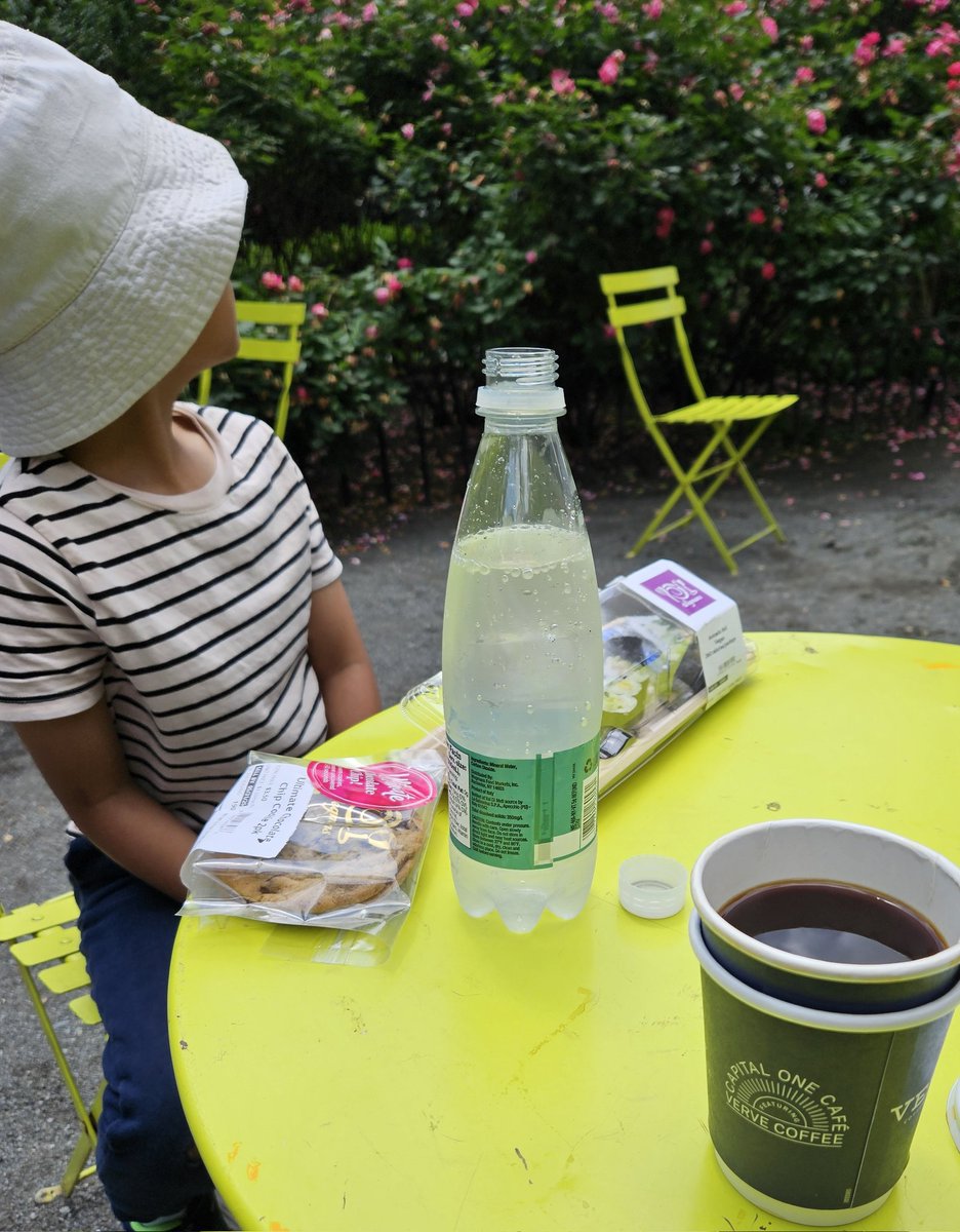 Sun is out. So is Oscar and I. Probably my last hot coffee, 🤪. Summer is here!