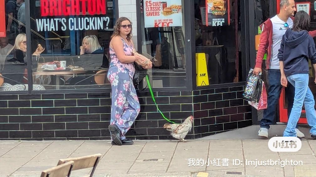 SussexIncidents's tweet photo. Spotted in Brighton:
A girl walking her chicken outside KFC...
The poor clucker must be cacking itself โ itโs one wrong step from becoming a bargain bucket. ๐๐ฑ
#OnlyInBrighton #ChickenOnEdge #FreeRangeRebel https://t.co/FK50A3yVJb