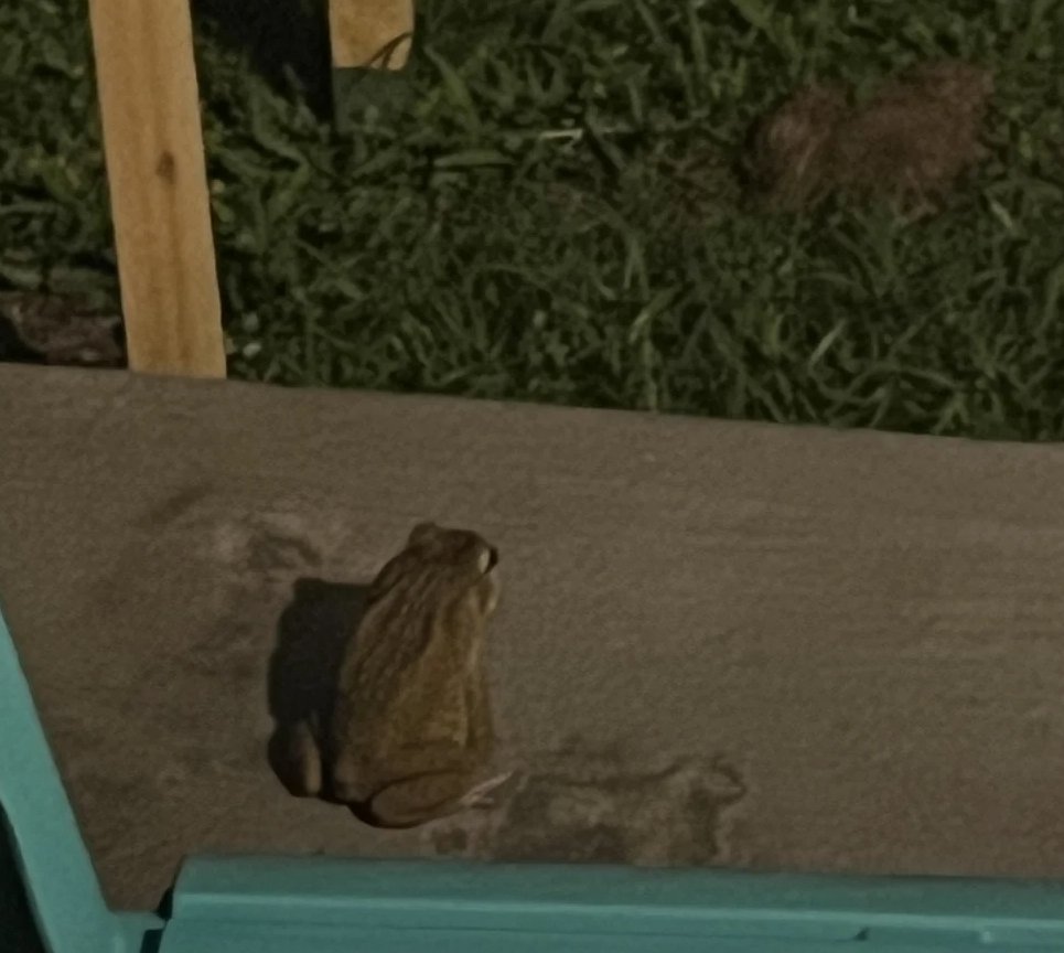 When you have to get by yourself and contemplate the way your life is life-ing🤷🏾‍♀️🤦🏾‍♀️