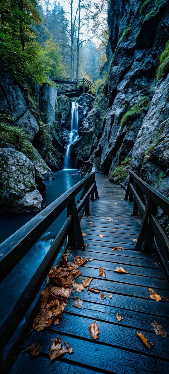 BackTo_nature67's tweet photo. 🍂 A mystical walk through the gorge — crisp air, falling leaves, and the calming sound of a hidden waterfall 🌫️🍁💦

#NatureTrail #WaterfallMagic #ForestVibes #AutumnWalk #HiddenGem #MistyMorning #Wanderlust #NatureEscape https://t.co/n97mozby51