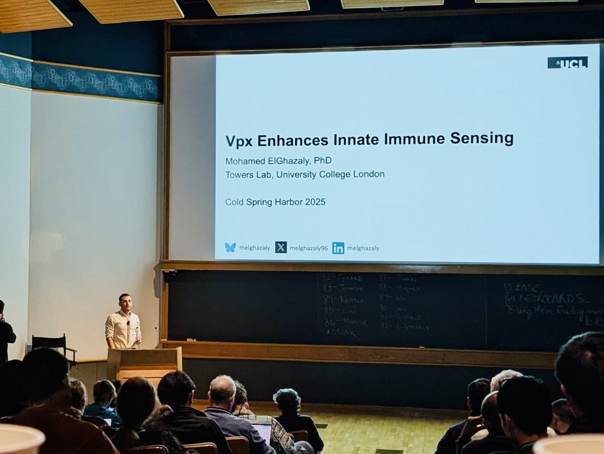 Mohamed ElGhazaly tweet media