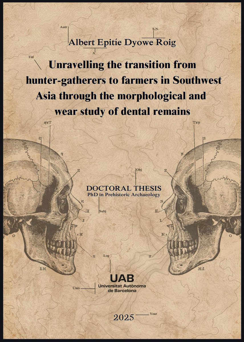 Laura M Martínez tweet media