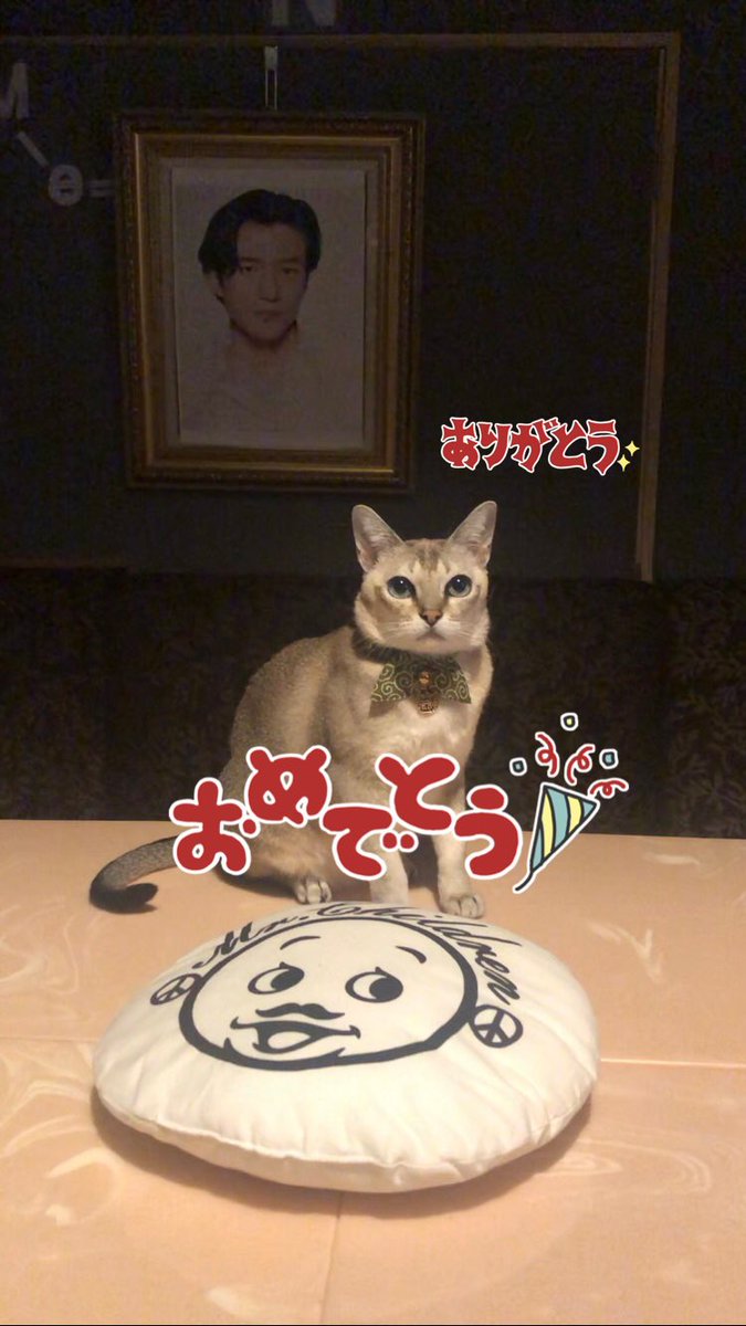 BAR_NOT_FOUND_'s tweet photo. @yoshiyuki3210 まじか!😸📺
新婚だしぜひ2人で使って欲しい❣️😻 https://t.co/qYMlLoBWJy