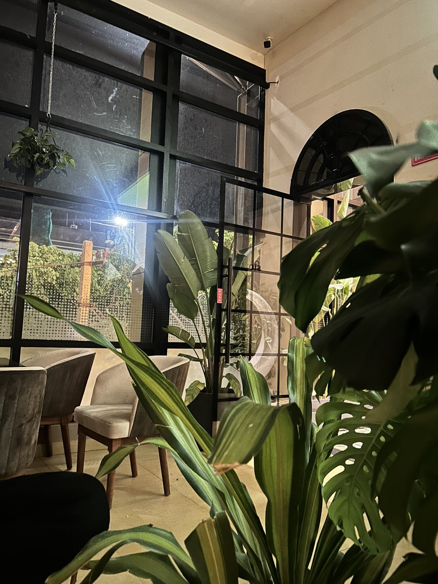 While everyone attending Shopify editions, we trying to chill with plants.

#mixedfeelings #editions #shopify