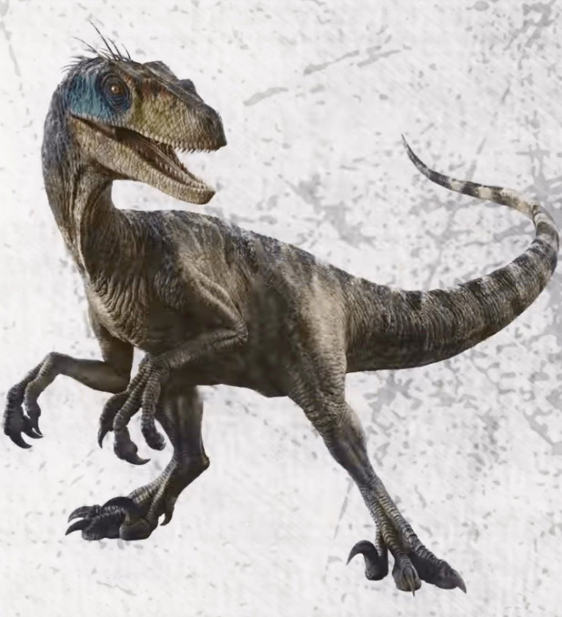 🚨BREAKING NEWS: A Brand New Render For The Velociraptor In Jurassic World Rebirth Has Been Released!🚨