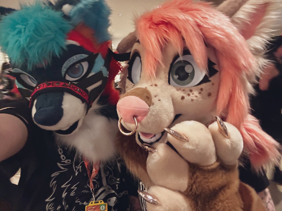 It’s #FursuitFriday!!!! And fresh from the con!!!

Ft. <a href="/PomchiPrincess/">❀ 𝓛𝓾𝔁𝓮 ❀ @ PCD</a> &amp; <a href="/YorkshireJackal/">→ Hʏᴅᴇ ← @ PCD</a>