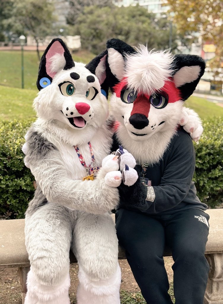 Yoshi Winter (@borktobealive) on Twitter photo #FursuitFriday with the <a href="/dustNowhere/">Dust! β¨</a> β¨οΈπ¦β¨οΈ
πͺ‘ <a href="/koshkafursuits/">Koshka Fursuits</a> & <a href="/CoyoteArcade/">π΅Coyote Arcadeπ΅</a> #FursuitFriday with the <a href="/dustNowhere/">Dust! β¨</a> β¨οΈπ¦β¨οΈ
πͺ‘ <a href="/koshkafursuits/">Koshka Fursuits</a> & <a href="/CoyoteArcade/">π΅Coyote Arcadeπ΅</a>