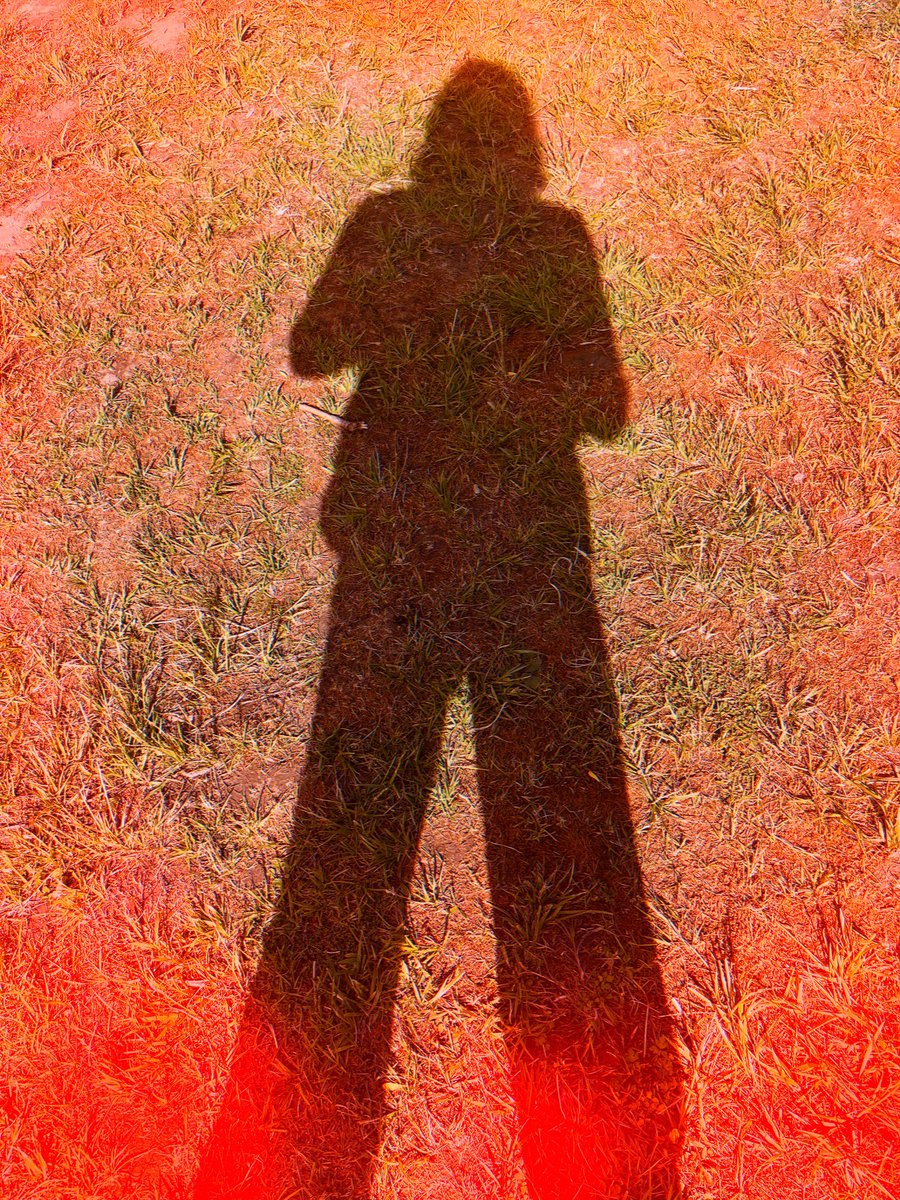 Shadow work in the shadowlands
#jung #kulashaker #shadowlands