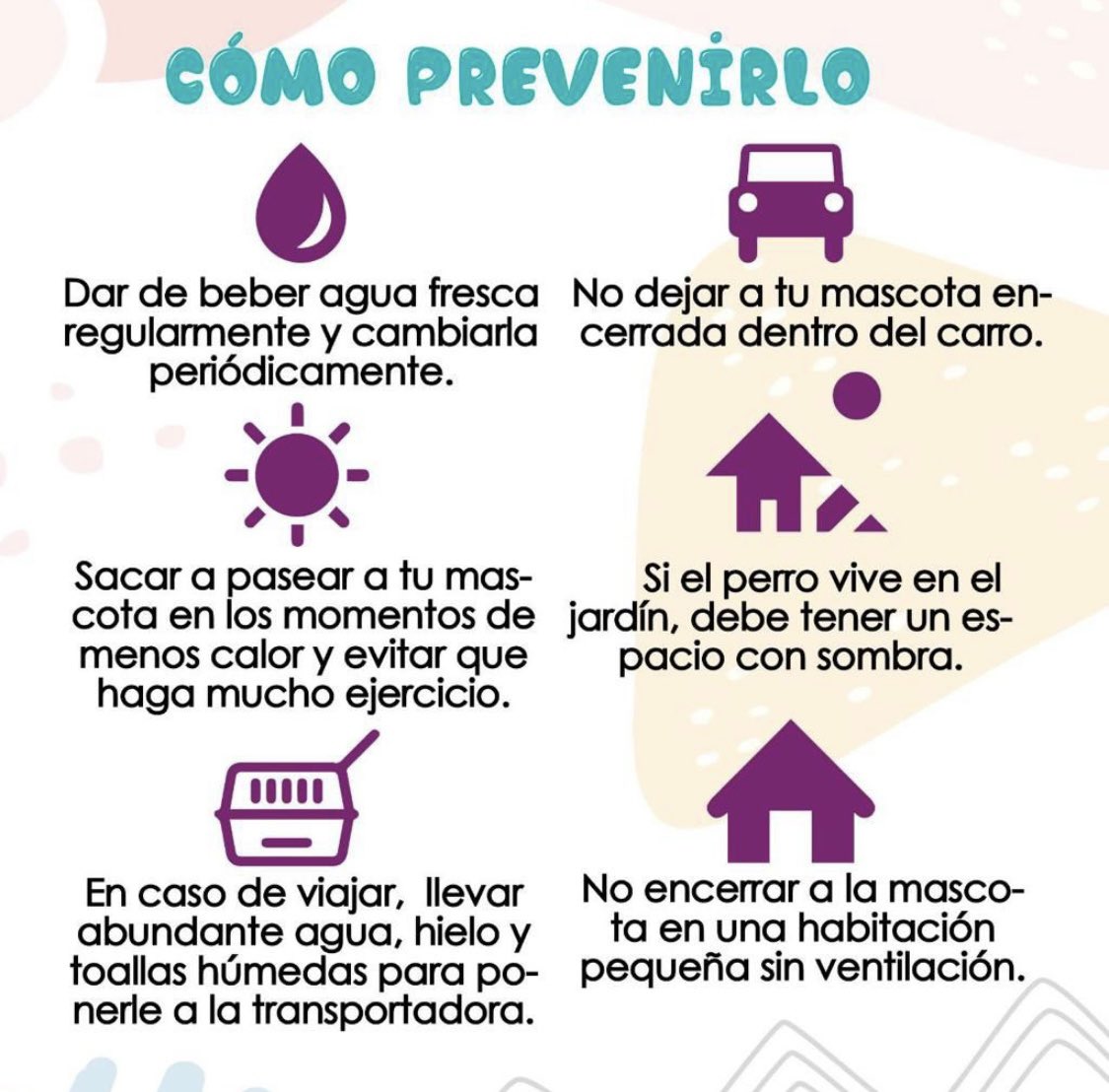 ¡Viene la época difícil! Por favor cuida a tus mascotas del golpe de calor. 🥵 ☀️