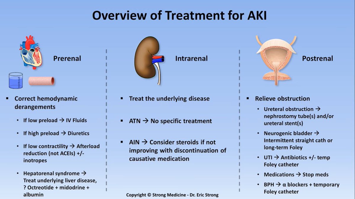 ❄️Overview of treatment for AKI
IN good way defition