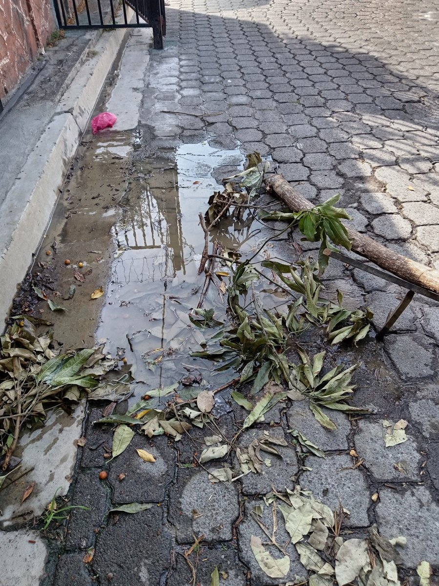 meerry_3's tweet photo. @ANDASV en la colonia suyapa tenemos días de estar con este problema y hasta el momento no se han acercado, pedimos por favor que se hacerquen dirección: colonia suyapa calle López (soyapango) https://t.co/EOFGlUy8LC