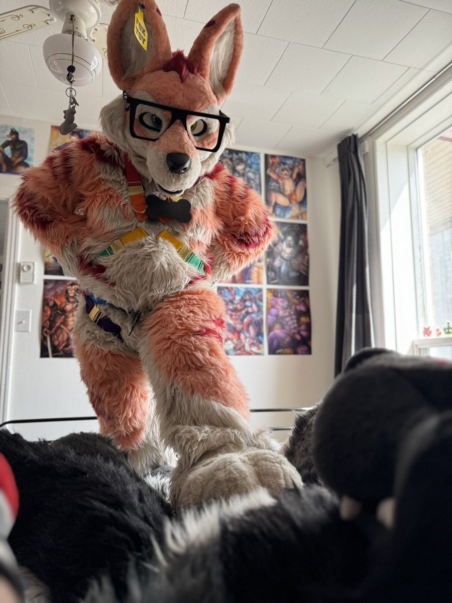 🦊🐾HAPPY FURSUIT FRIDAY🐾🦊
Be sure that the wolf is well tamed
🦊:<a href="/MuzoFox/">Muzo Fox</a>
🐺:<a href="/Koroad666/">Koro AD</a> 
🎥:<a href="/SkywayWolf/">Skyway</a>

#furry #furries #fursuit #fursuiter #murrsuit #murrsuiter #fox #fennecfox #foxtoy #wolf #goodboy #cute #paws #tamed #crotch #dominant #daddyfox #FursuitFriday