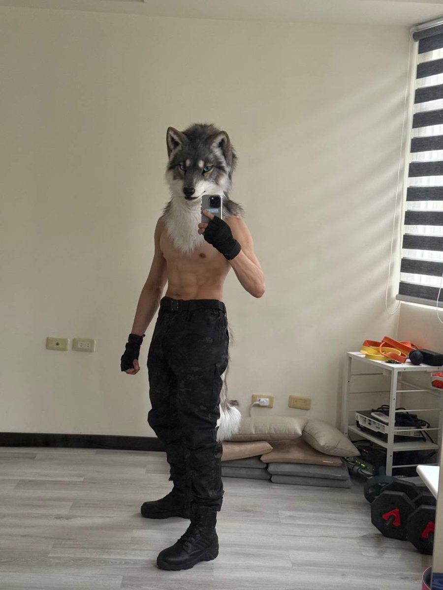 AkuWolf's tweet image. 🐺