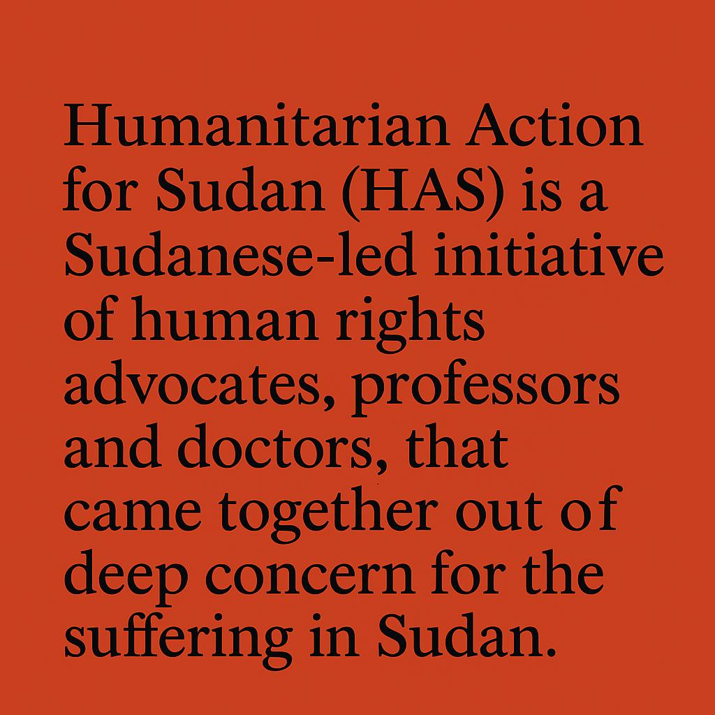 HumActSudan's tweet photo. What is Humanitarian Action For Sudan? 

To learn more and donate: https://t.co/PhgOoDrDWN

#Sudan #sudanconflict #KeepEyesOnSudan https://t.co/NMkycKScHN