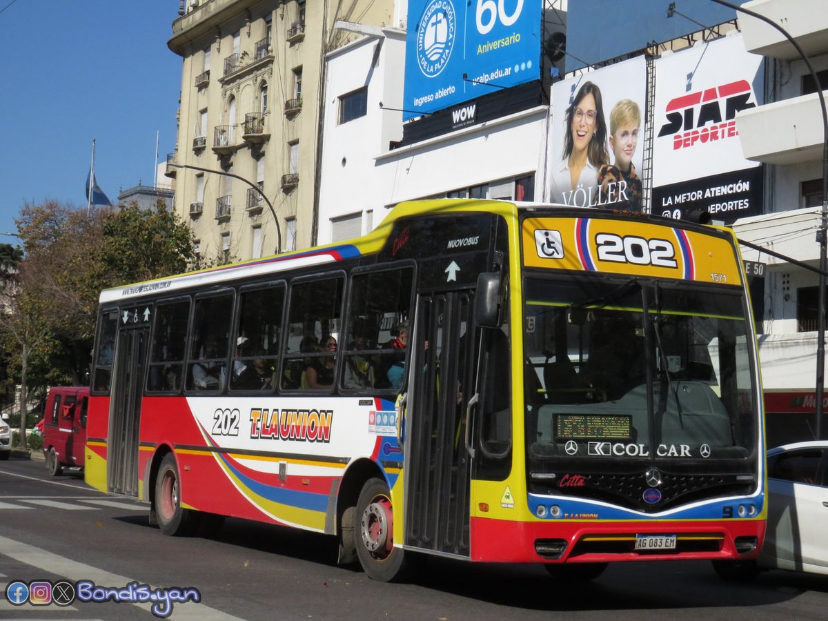 BondisYan's tweet photo. ● 30 de la #linea45 - #mo45sa #italbus
● 3853 de la #linea203 - #Metalpar #puentesaavedra #azulsata
● 535 de la #linea145 - #rosarioguarani #misionbuenosaires #Nuovobus
● 9 de la #linea202 - #tlaunion #berisso #laplata https://t.co/xvPVwNjN85