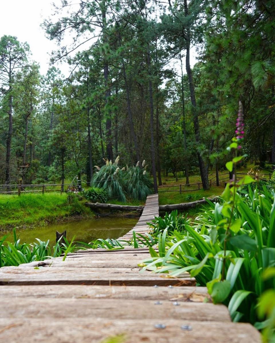 Las cosas simples siempre ganan. Un café, una charla, un atardecer. 
Qué dices?